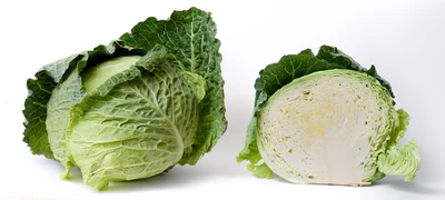 بند گوبھی