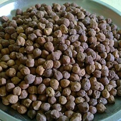 کالا چنا موٹا
