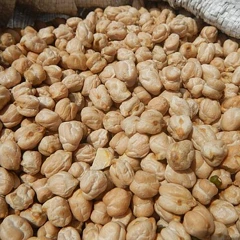 سفید چنا امپورٹڈ موٹا