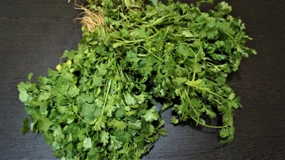سبز دھنیا