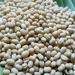 دال ماش دھلی امپورٹڈ
