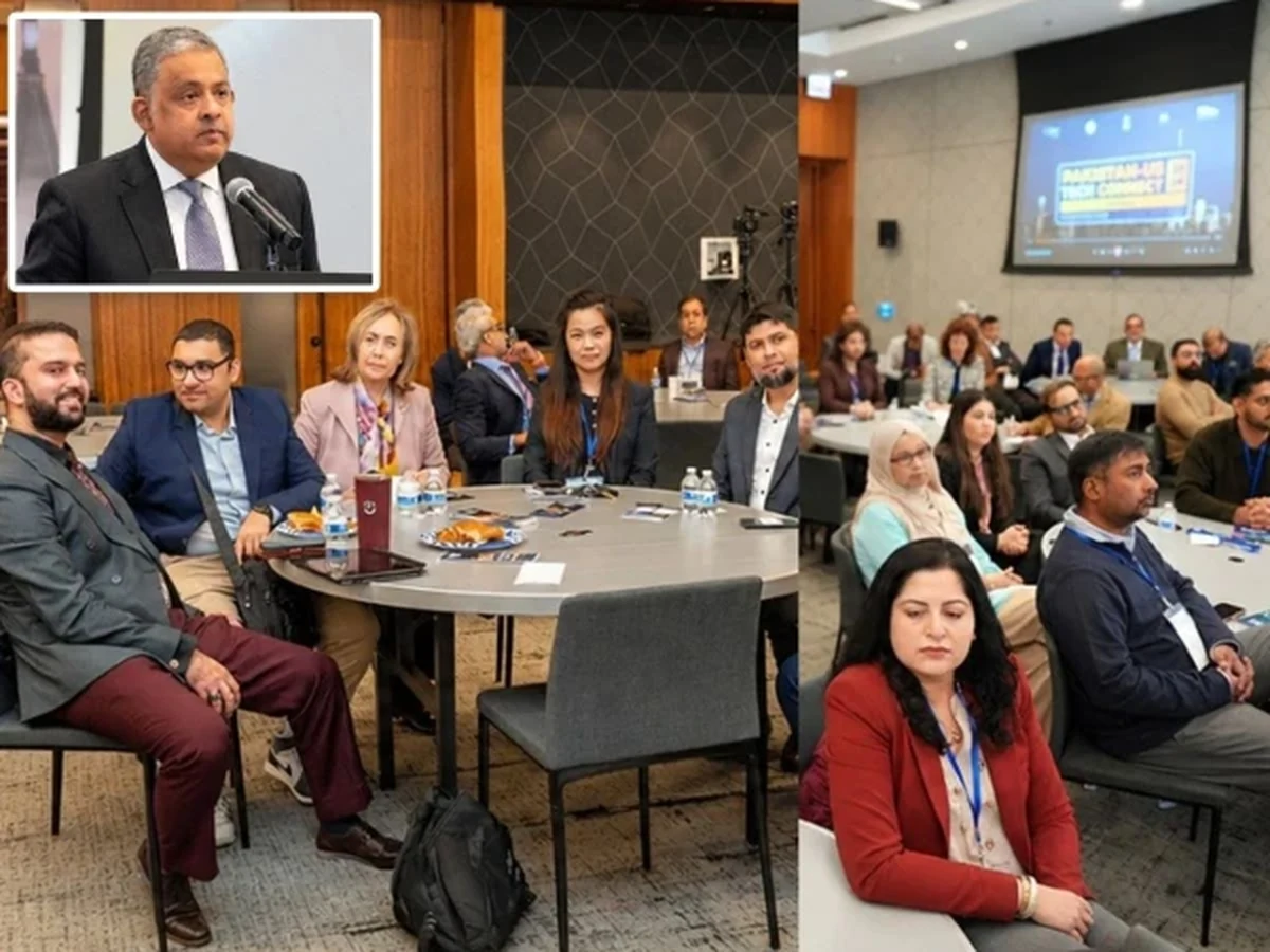 امریکہ پاکستانی آئی ٹی بر آمدات کی سب سے بڑی منڈی ہے، رضوان سعید شیخ