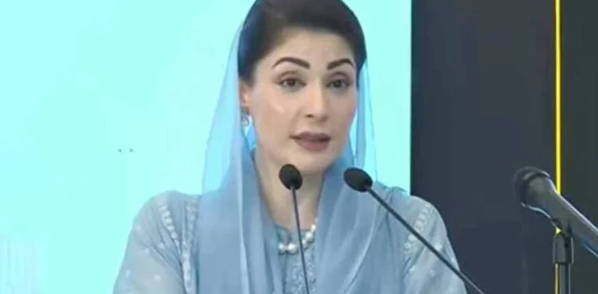 عدالت سے کہتی ہوں اتنی سزا تو دیں کہ مجرم کو محسوس ہو، مریم نواز