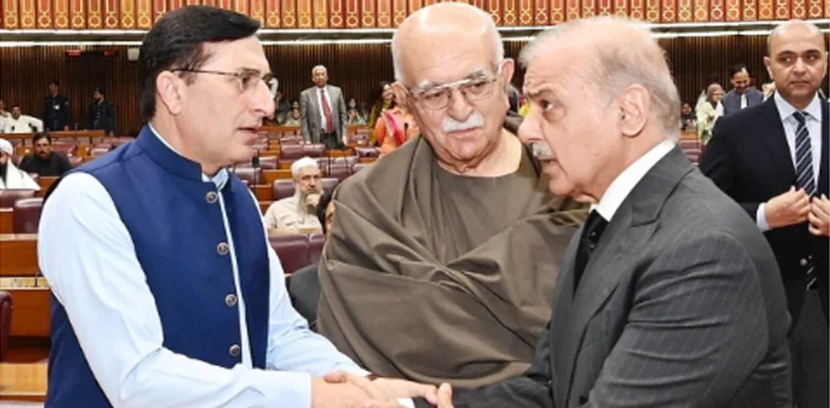 پی ٹی آئی پارلیمانی پارٹی اجلاس میں 28ویں ترمیم کی مشروط حمایت کا فیصلہ، ذرائع