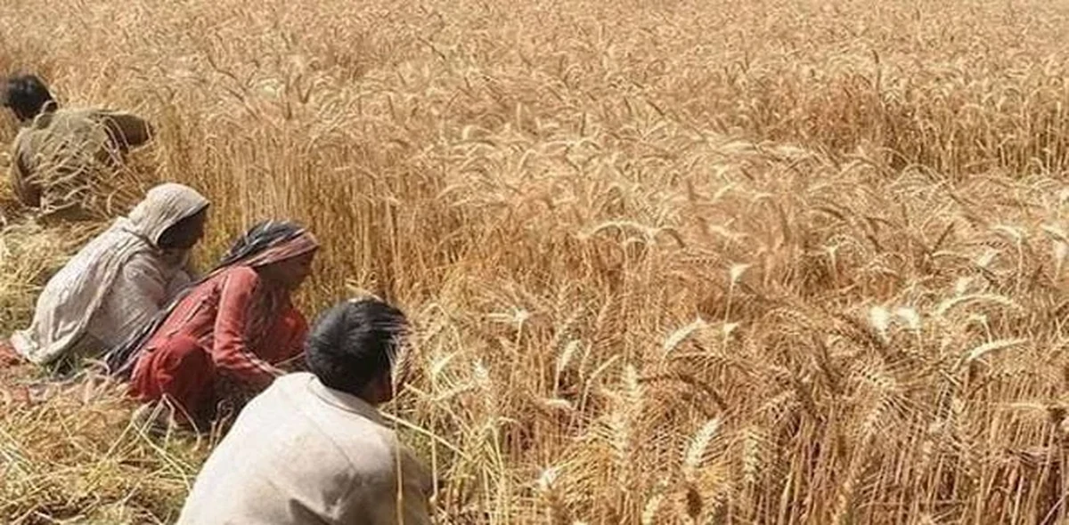 زرعی ادویات کا کاروبار کرنے والوں کے لیے اہم خبر